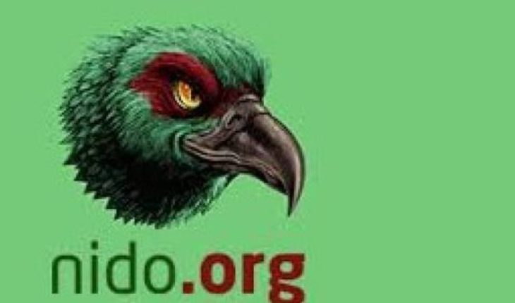Gobierno y PDI se pronuncian ante casos de acoso en sitio web Nido