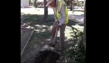 Hombre de 100 años que trabaja arreglando parques recibe $122 mil de pensión