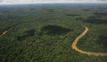 La urgencia de tomar medidas para evitar la deforestación de América Latina