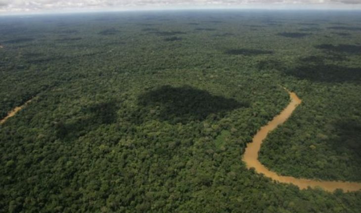 La urgencia de tomar medidas para evitar la deforestación de América Latina