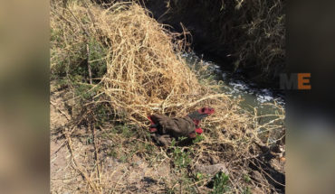 Localizan un hombre muerto en el Río El Duero, en Ixtlán, Michoacán