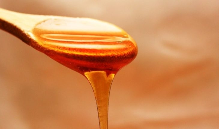 Miel: el oro líquido de múltiples beneficios
