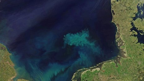Por qué los océanos se están haciendo más azules