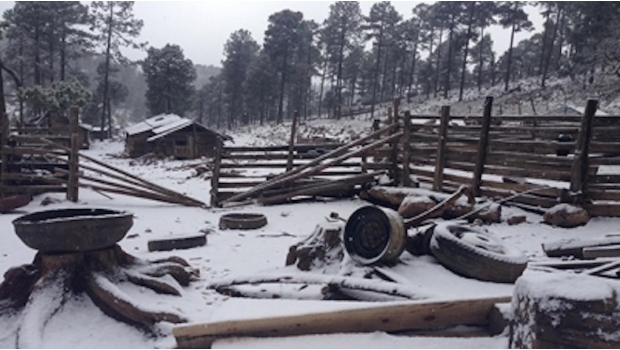 Rosilla, Durango bajo la nieve, registra hasta -12 grados °C