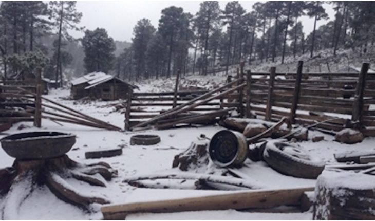 Rosilla, Durango bajo la nieve, registra hasta -12 grados °C