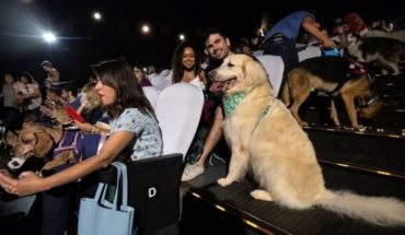 Un cine de Brasil abre sus puertas a 180 perros para un preestreno