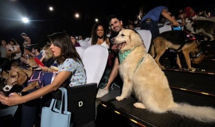 Un cine de Brasil abre sus puertas a 180 perros para un preestreno