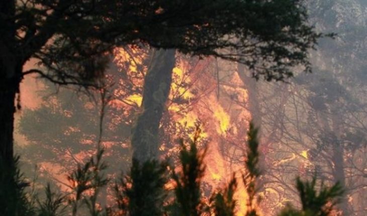 translated from Spanish: A total of 32 active forest fires affect the southern area