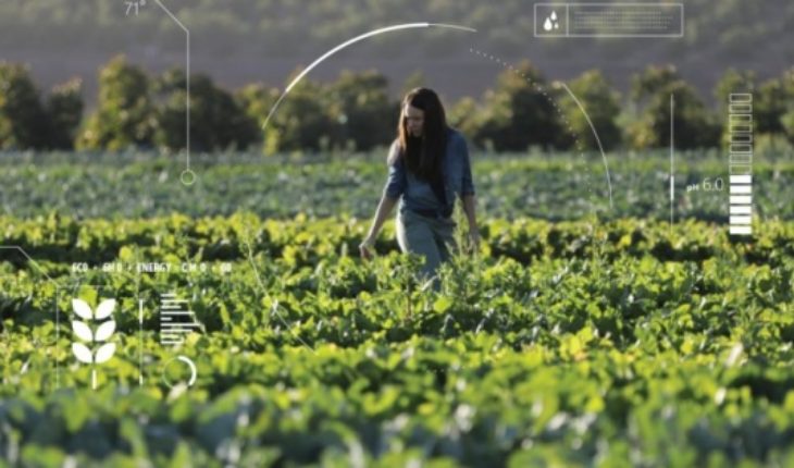 translated from Spanish: Agricultura inteligente: chilenos crean tecnología para monitorear cultivos desde el celular
