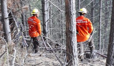 translated from Spanish: CMPC has fought forest fires in 16 communes between the Maule and Araucanía