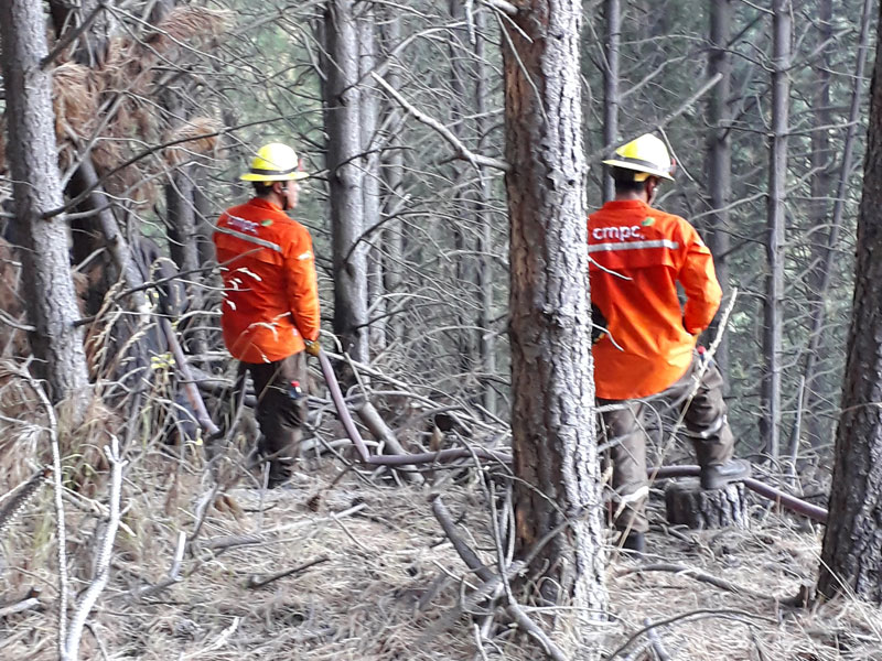 CMPC has fought forest fires in 16 communes between the Maule and Araucanía