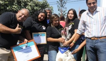 translated from Spanish: Chile’s largest dog was appointed Ambassador of the responsible tenure of the farm