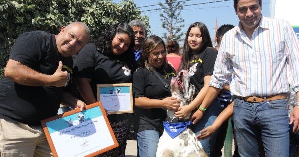 Chile's largest dog was appointed Ambassador of the responsible tenure of the farm