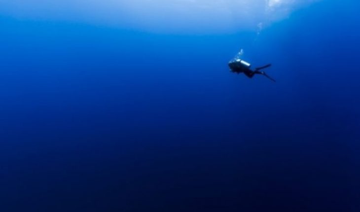 translated from Spanish: Científicos explican por qué los océanos se están volviendo más azules (y no es una buena noticia)