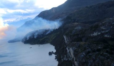Conaf confirmed more than 2 thousand hectares of native forest consumed by fire