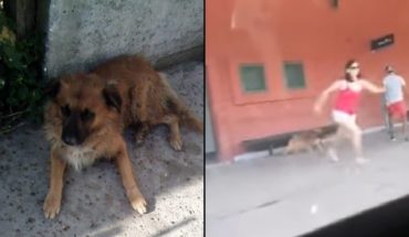 translated from Spanish: Dejó a su perro en la estación, la escracharon y explicó por qué lo hizo
