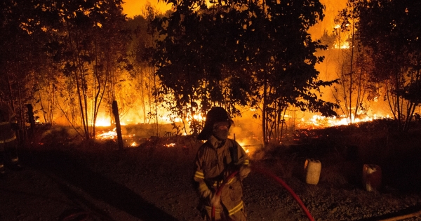 Forest fires: curfew in Concepcion province enacted after suspected foci simultaneous