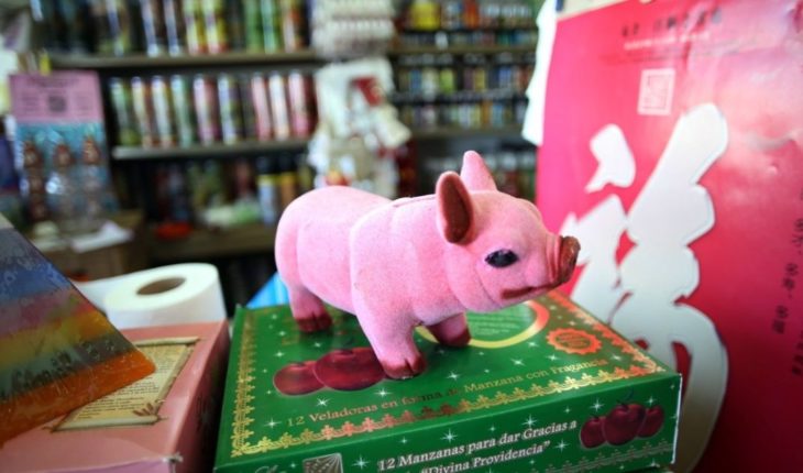 translated from Spanish: It’s Chinese new year!, know your horoscope in this year of the pig