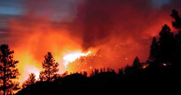 Scientists warn of environmental challenges to prevent and control forest fires