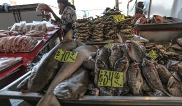 A tu mesa llega la pesca ilegal y la sobreexplotación de especies