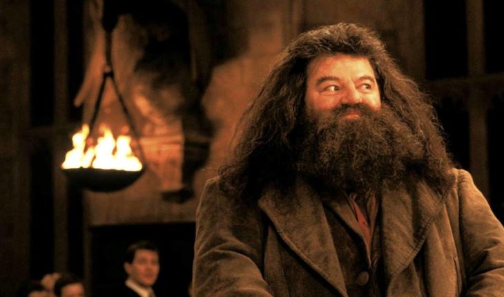 Actor de Hagrid en Harry Potter tiene un delicado estado de salud