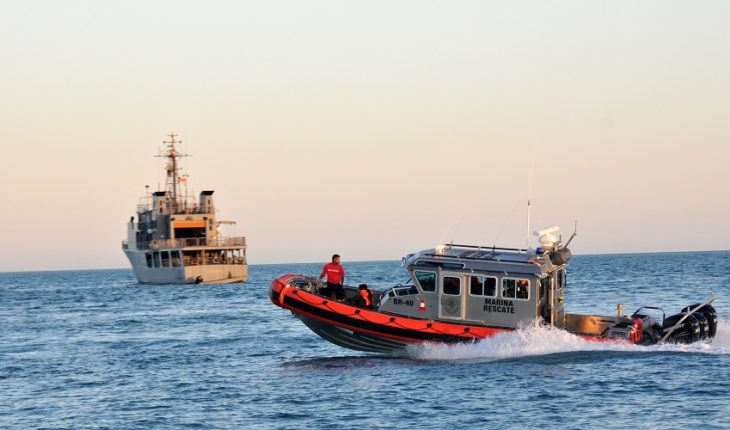 Autoridades lanzan programa en el Alto Golfo y la vaquita marina
