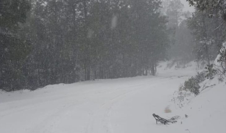 Chihuahua bajo cero y con nevadas; emiten alerta roja y cierre de carreteras