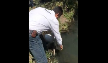 Comisionado del agua, prueba agua de Lago de Camécuaro para demostrar que no está contaminada