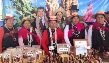 Congreso Mundial de la Quínua reunirá en Chile a expertos para analizar el futuro de este grano ancestral