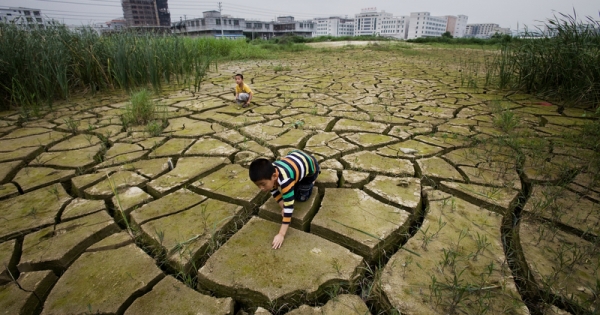 Día Mundial del Clima: “Enfrentamos el desafío más importante en la historia de la humanidad”