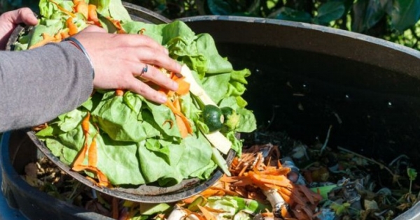 Desperdicio de alimentos descontrola emisiones contaminantes en Norteamérica