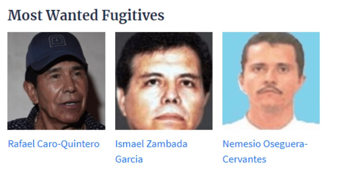 La jugosa recompensa de la DEA por El Mayo, Caro Quintero y El Mencho