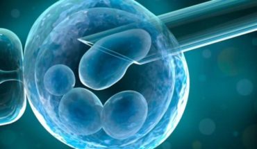 translated from Spanish: Dr. Alfonso Martínez-Arias de U. Cambridge: “Utilizando células madres podremos crear embriones humanos”
