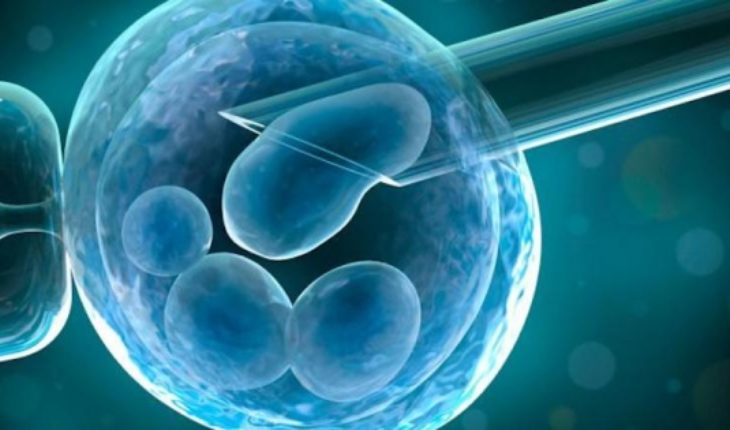 translated from Spanish: Dr. Alfonso Martínez-Arias de U. Cambridge: “Utilizando células madres podremos crear embriones humanos”