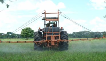 translated from Spanish: Glyphosate is not considered dangerous in Mexico