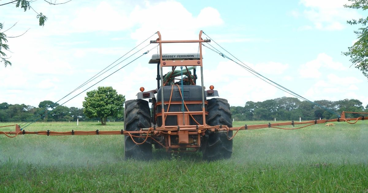 Glyphosate is not considered dangerous in Mexico