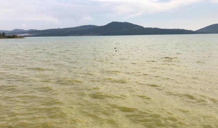 translated from Spanish: Lake Zirahuén in terrible condition by the abandonment by authorities