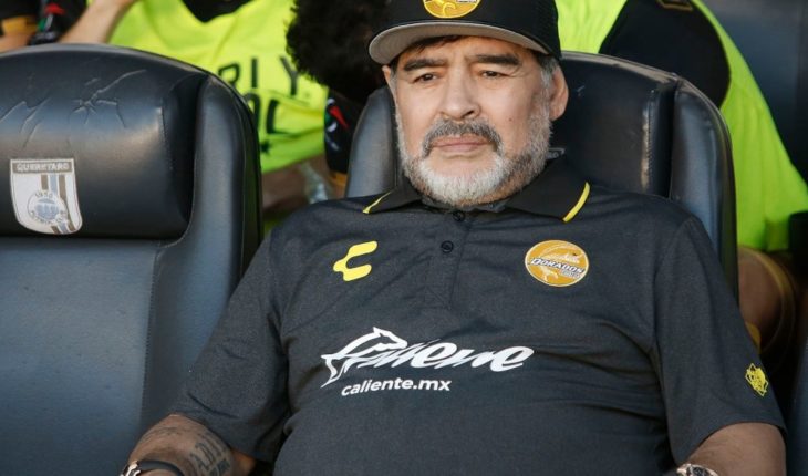 translated from Spanish: Maradona applauds Bruno Marioni Pumas win