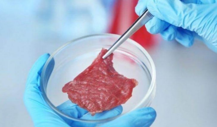 translated from Spanish: Study tantalizing possibility that meat is vitro worse for environment