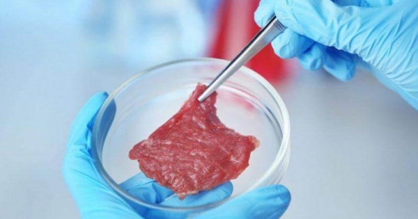 Study tantalizing possibility that meat is vitro worse for environment