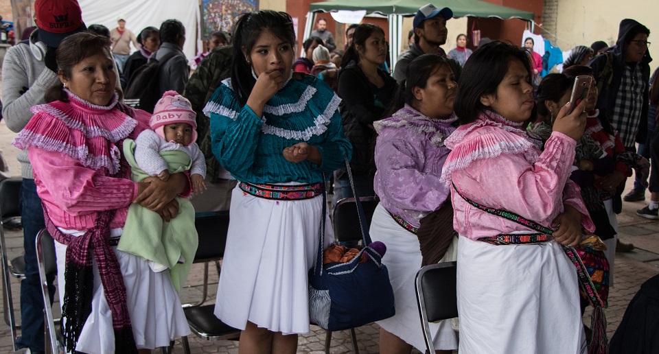 14 pueblos originarios de Xochimilco buscan el autogobierno