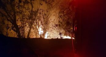 26 bomberos mueren combatiendo incendio forestal en China