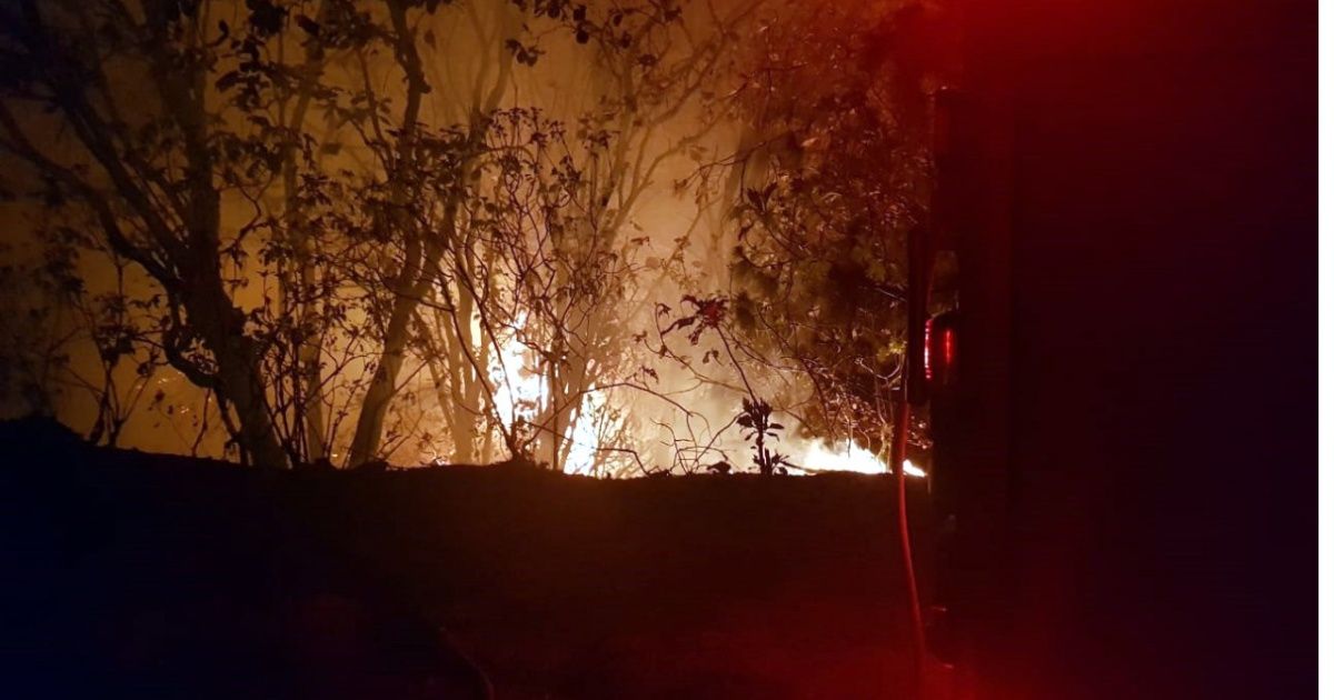 26 bomberos mueren combatiendo incendio forestal en China
