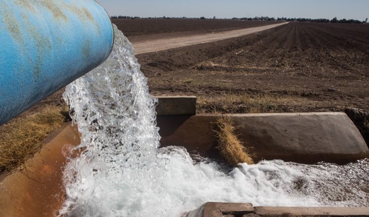 Planta cervecera en Mexicali viola el derecho humano al agua: CNDH