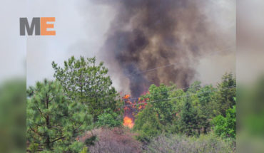 En Michoacán darán hasta nueve años de cárcel a quien provoque incendios forestales