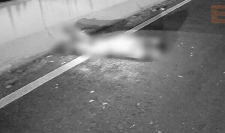 Encuentran el cuerpo de un hombre en carretera federal Apatzingán-Nueva Italia