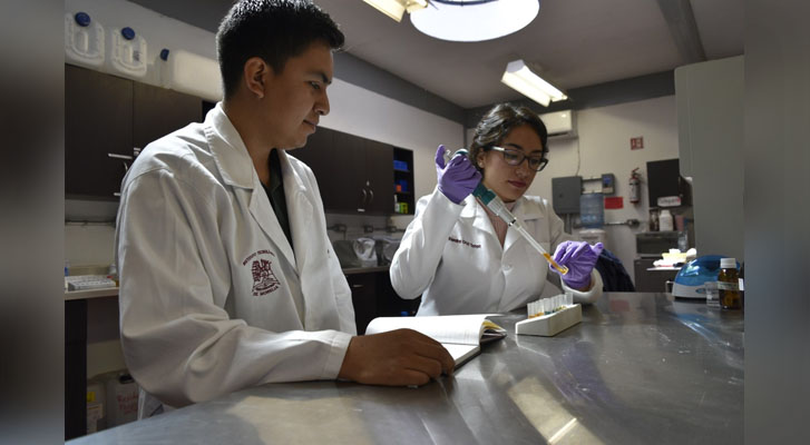 Estudiantes del Tecnológico de Morelia, buscan crear una vacuna mas eficiente contra el virus de Newcastle