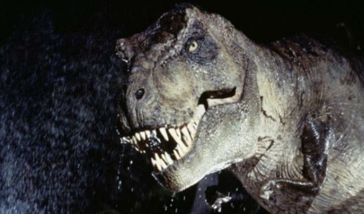 Fósil de bebé Tiranosaurio es puesto a la venta en internet