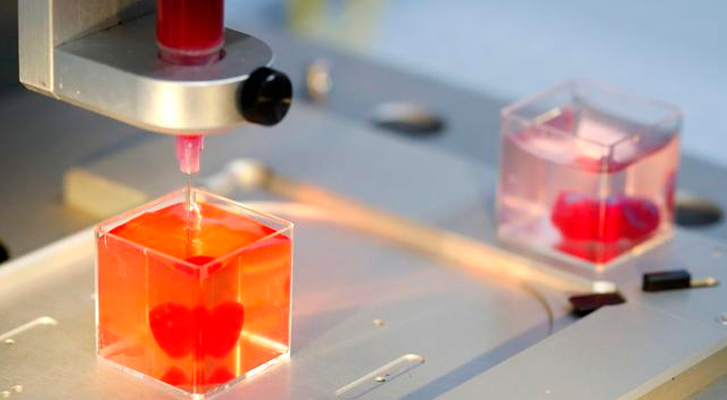 Investigadores producen un corazón vivo que palpita con tejido humano y una impresora 3D