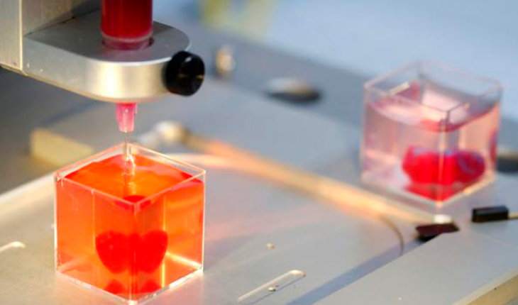 Investigadores producen un corazón vivo que palpita con tejido humano y una impresora 3D